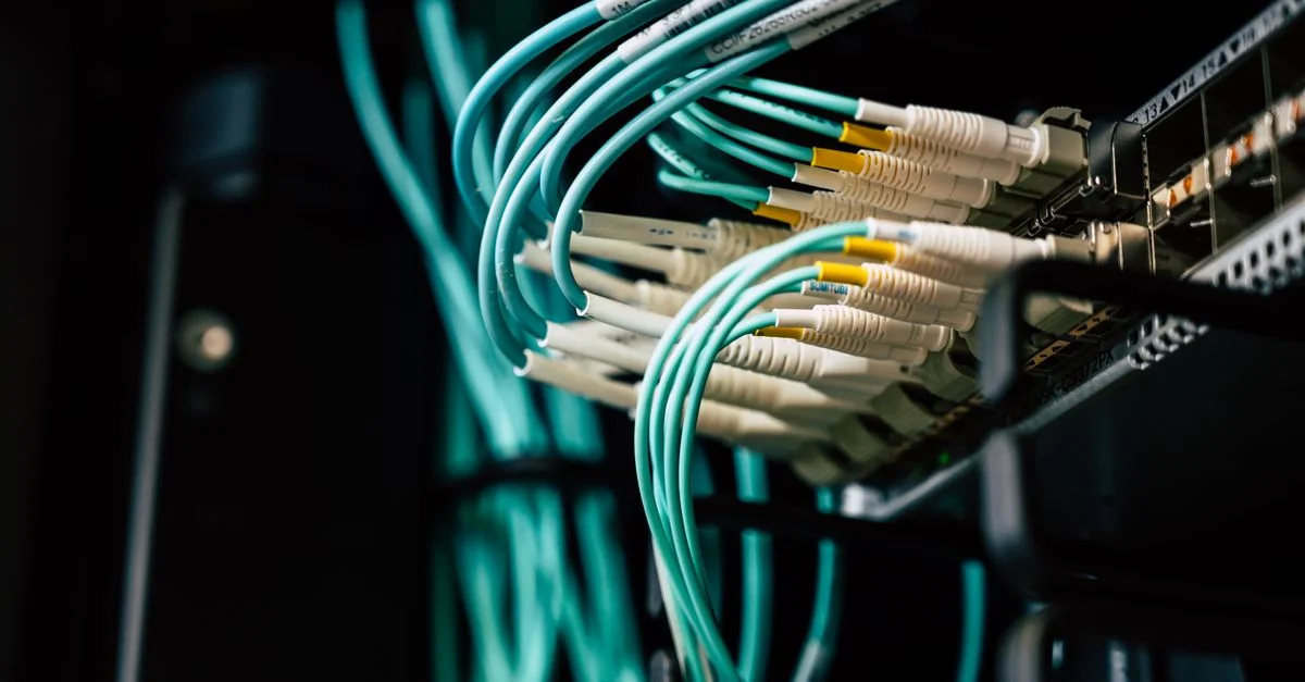 Vue détaillée de câbles réseau branchés dans un rack serveur dans un centre de données.